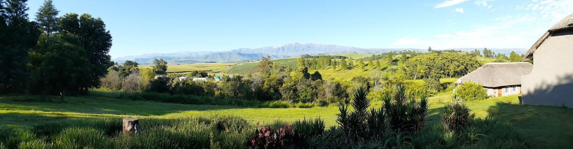 The Nest Drakensberg Mountain Resort Hotel Champagne Valley Exterior photo