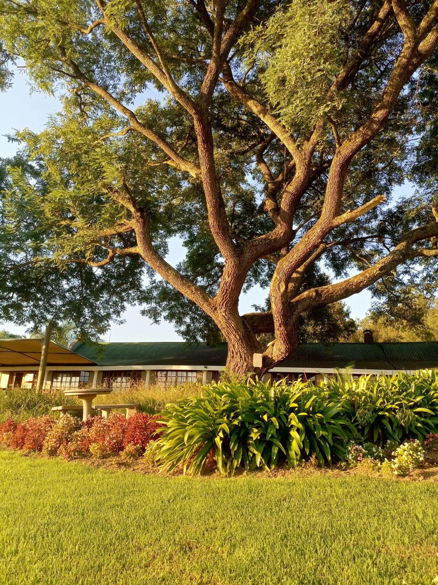 The Nest Drakensberg Mountain Resort Hotel Champagne Valley Exterior photo